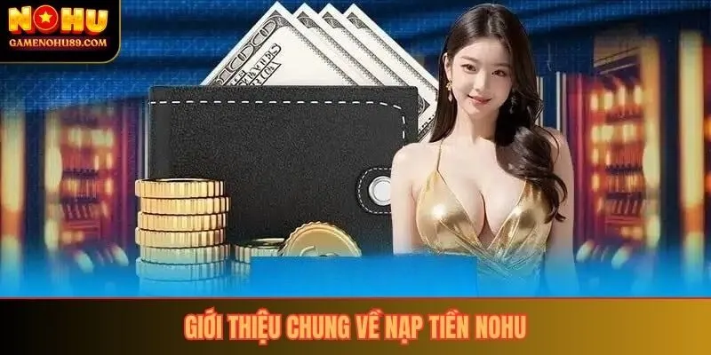 Giới thiệu chung về nạp tiền nohu