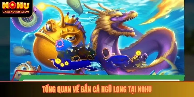 Tổng quan về bắn cá ngũ long tại nohu