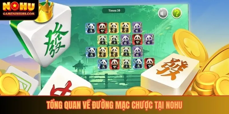 Tổng quan về đường mạc chược tại Nohu